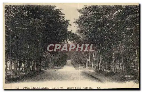 Cartes postales Arbre Foret de Fontainebleau Route Louis Philippe