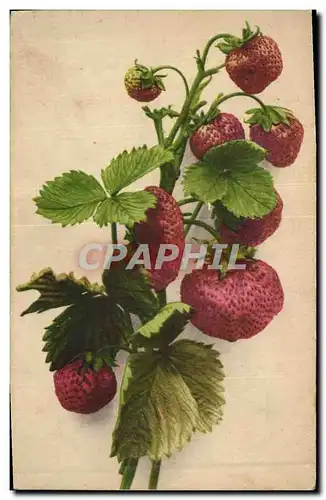 Ansichtskarte AK Fantaisie Nature morte Fraises