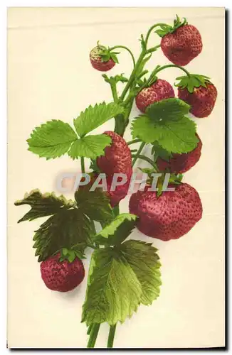 Ansichtskarte AK Fantaisie Nature morte Fraises