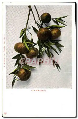 Cartes postales Fantaisie Nature morte Oranges