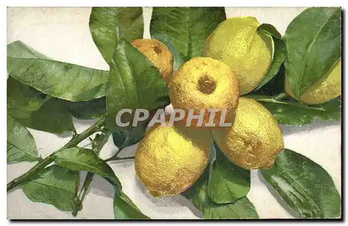 Cartes postales Fantaisie Nature morte Citrons