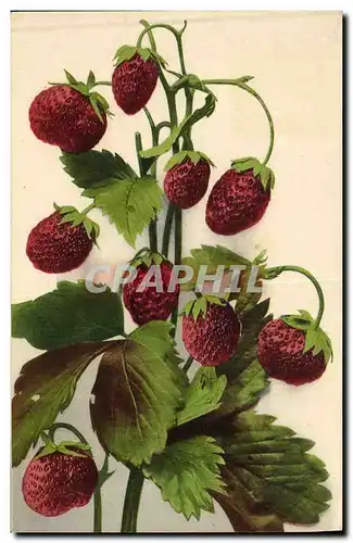 Cartes postales Fantaisie Nature morte Fraises