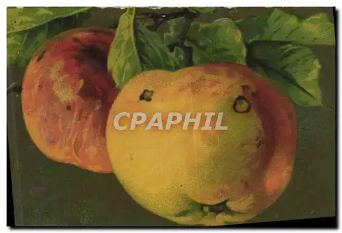 Cartes postales Fantaisie Nature morte