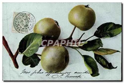 Ansichtskarte AK Fantaisie Nature morte Pommes
