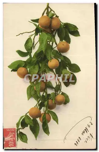 Cartes postales Fantaisie Nature morte