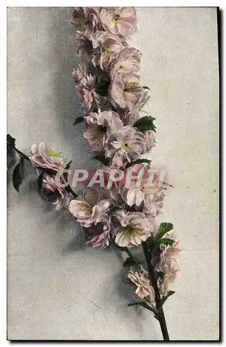 Cartes postales Fantaisie Fleurs