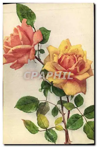 Cartes postales Fantaisie Fleurs