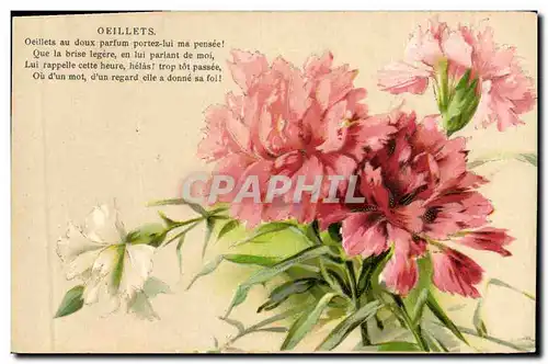 Cartes postales Fantaisie Fleurs Oeillets