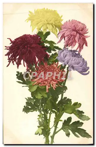 Cartes postales Fantaisie Fleurs