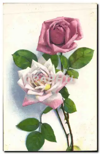 Cartes postales Fantaisie Fleurs