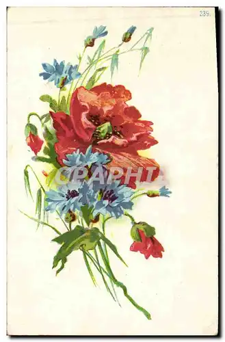 Cartes postales Fantaisie Fleurs