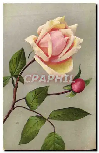 Cartes postales Fantaisie Fleurs