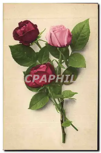 Cartes postales Fantaisie Fleurs