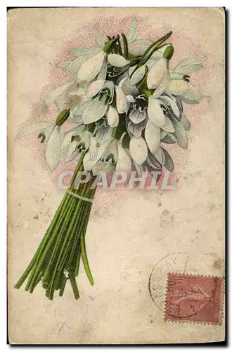 Cartes postales Fantaisie Fleurs