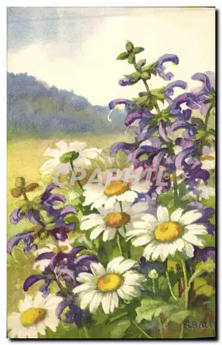 Cartes postales Fantaisie Fleurs