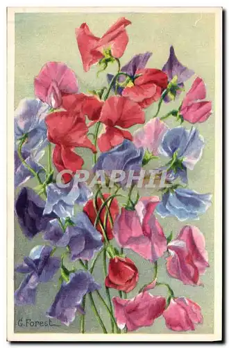 Cartes postales Fantaisie Fleurs