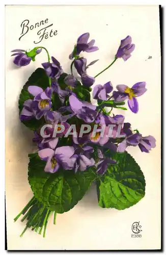 Cartes postales Fantaisie Fleurs