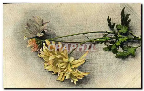 Cartes postales Fantaisie Fleurs