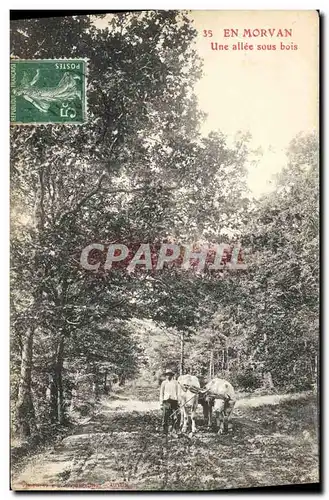 Cartes postales Folklore Morvan Une allee sous bois Boeufs Attelage