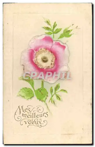 Cartes postales Fantaisie Fleurs