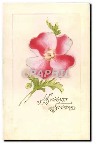 Cartes postales Fantaisie Fleurs