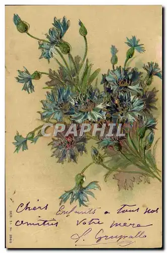 Cartes postales Fantaisie Fleurs