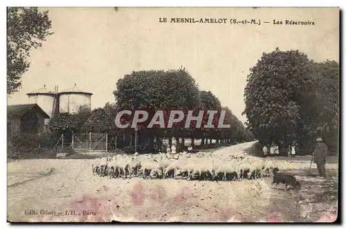 Cartes postales Chateau d&#39eau Le Mesnil Amelot Les reservoirs Moutons Chien