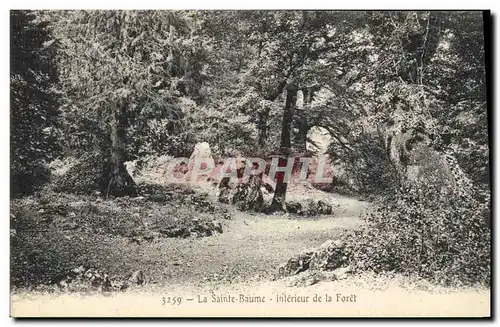 Ansichtskarte AK Arbre La Sainte Baume Interieur de la foret