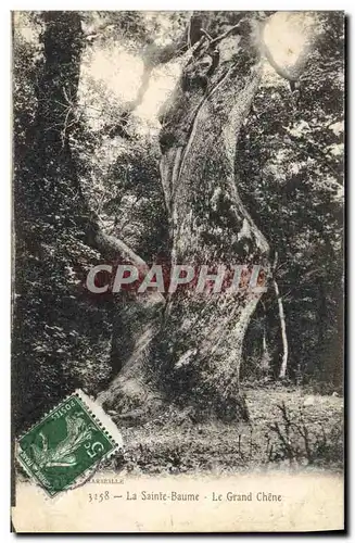 Cartes postales Arbre La Sainte Baume Le grand chene