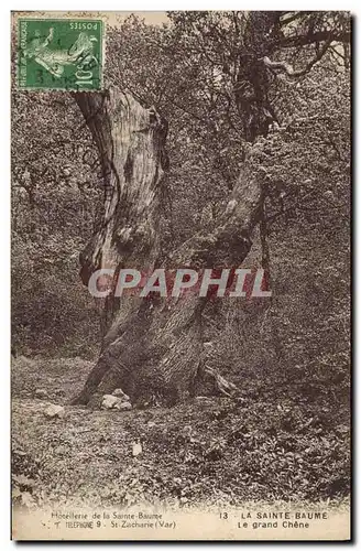 Ansichtskarte AK Arbre La Sainte Baume Le grand chene