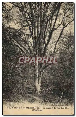 Ansichtskarte AK Arbre Foret de Fontainebleau Le bouquet du feu d&#39artifice