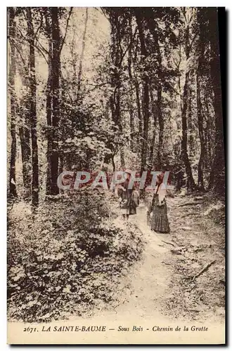 Ansichtskarte AK Arbre La Sainte Baume Sous bois Chemin de la grotte