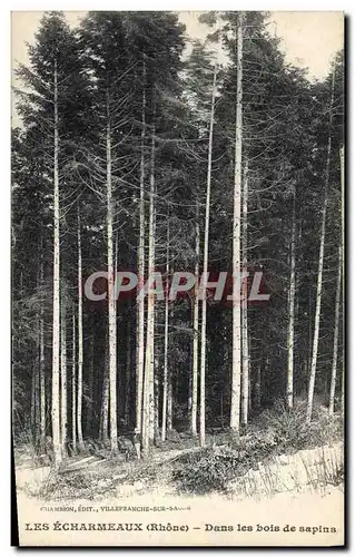 Cartes postales Arbre Les Echarmeaux Dans les bois de sapins
