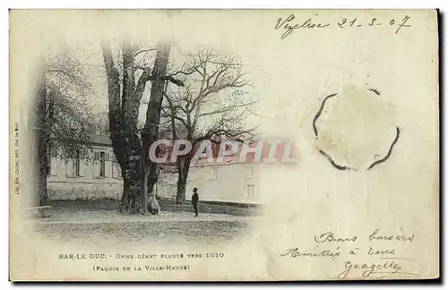 Ansichtskarte AK Arbre Bar le Duc Orme geant plante vers 1610 Paquis de la Ville haute