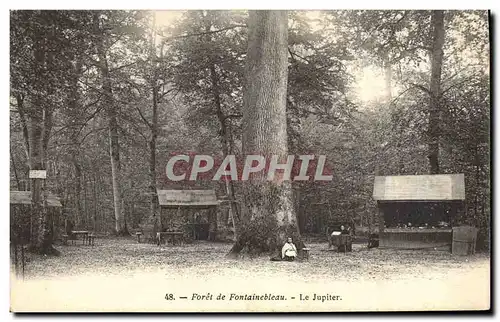 Ansichtskarte AK Arbre Foret de Fontainebleau Le Jupiter