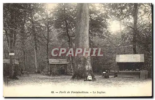 Cartes postales Arbre Foret de Fontainebleau Le Jupiter