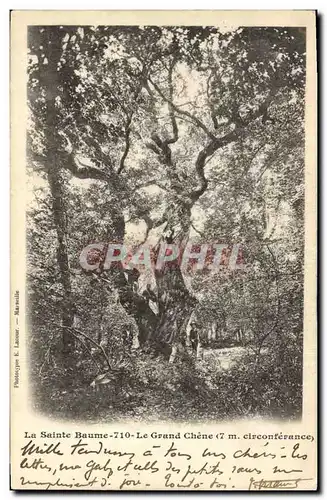 Ansichtskarte AK Arbre La Sainte Baume Le grand chene