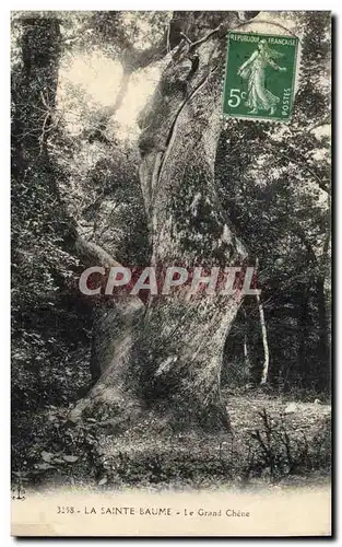 Ansichtskarte AK Arbre La Sainte Baume le grand chene