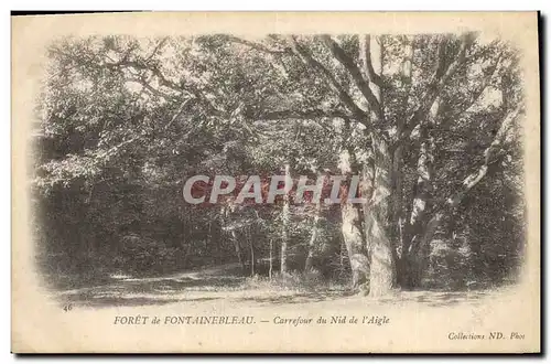 Ansichtskarte AK Arbre Foret de Fontainebleau Carrefour du Nid de l&#39aigle