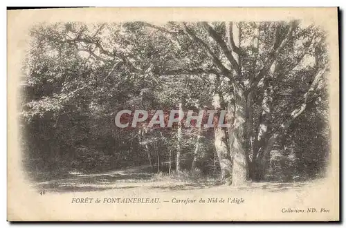 Cartes postales Arbre Foret de Fontainebleau Carrefour du Nid de l&#39aigle