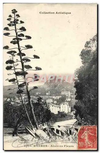Cartes postales Arbre Hyeres Aloes en fleurs
