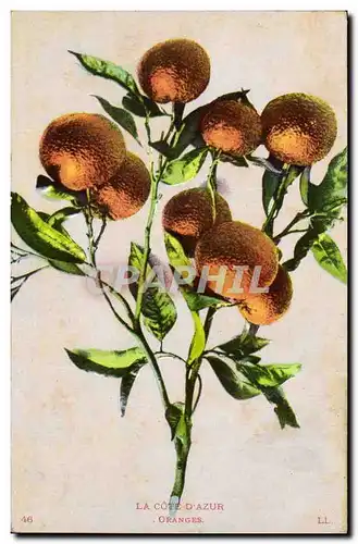 Cartes postales Fantaisie Nature morte Oranges Cote d&#39Azur