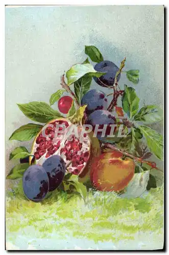 Cartes postales Fantaisie Nature morte