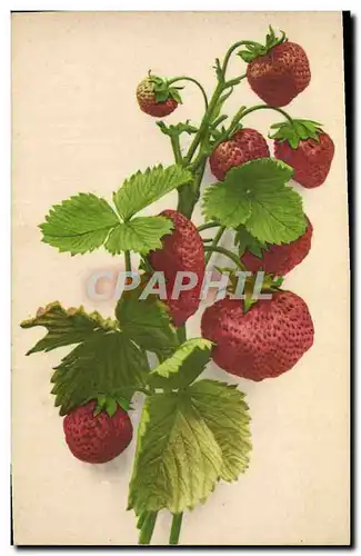 Cartes postales Fantaisie Nature morte Fraises