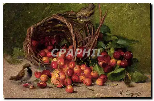 Cartes postales Fantaisie Nature morte Oiseau