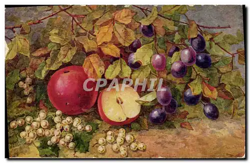 Cartes postales Fantaisie Nature morte
