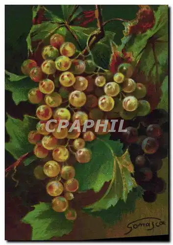 Cartes postales Fantaisie Nature morte Raisins