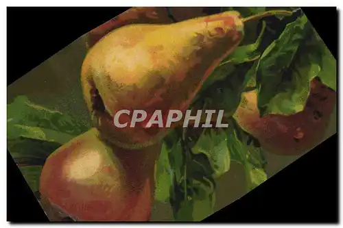 Cartes postales Fantaisie Nature morte Poires