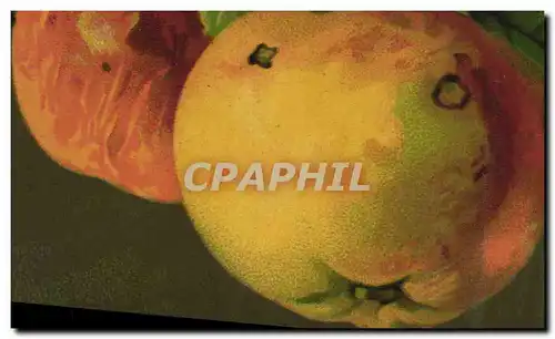 Cartes postales Fantaisie Nature morte Pommes