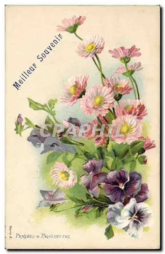 Cartes postales Fantaisie Fleurs Pensees et paquerettes